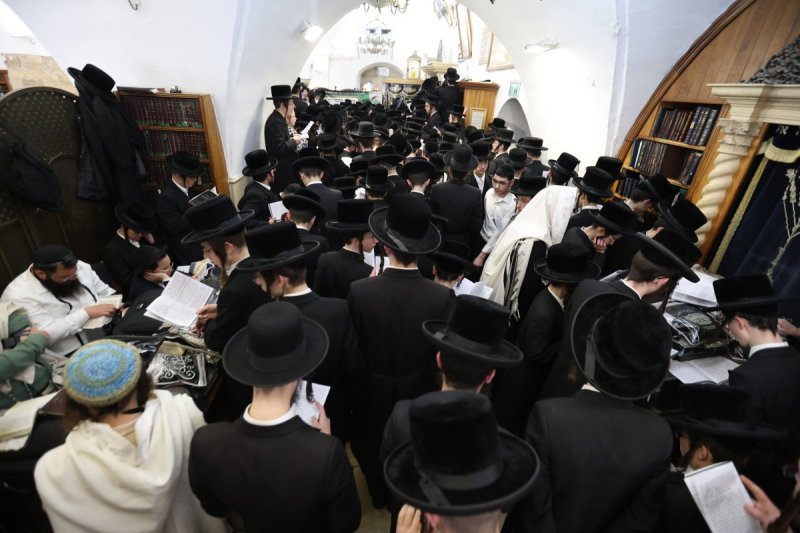 דוד כהן