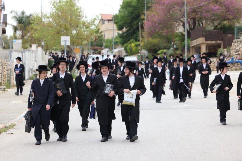 דוד כהן