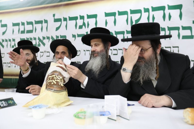 דוד כהן