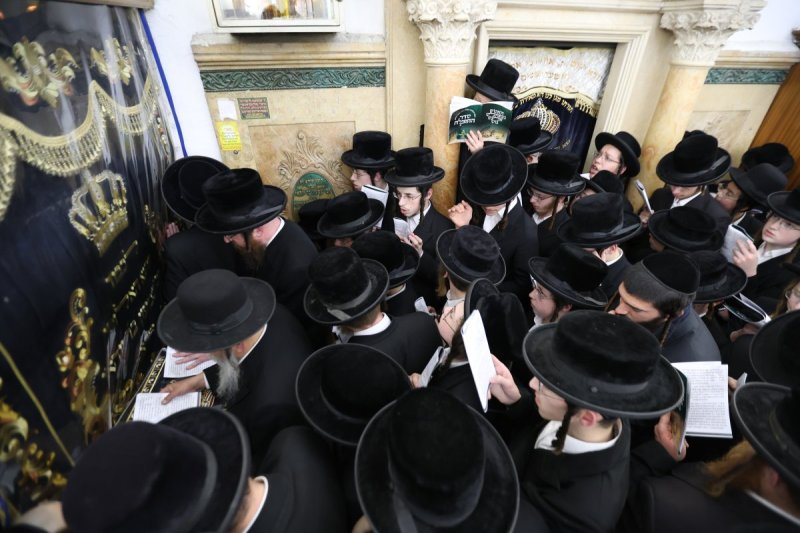 דוד כהן