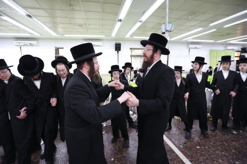 דוד כהן
