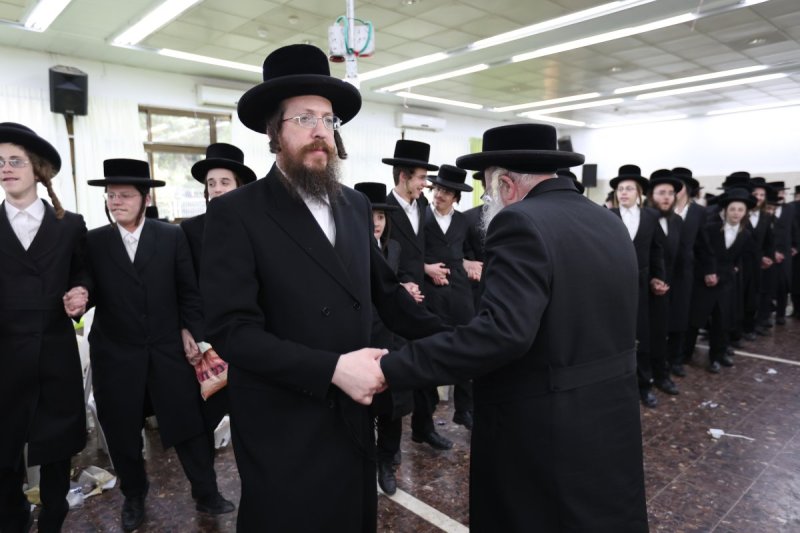 דוד כהן