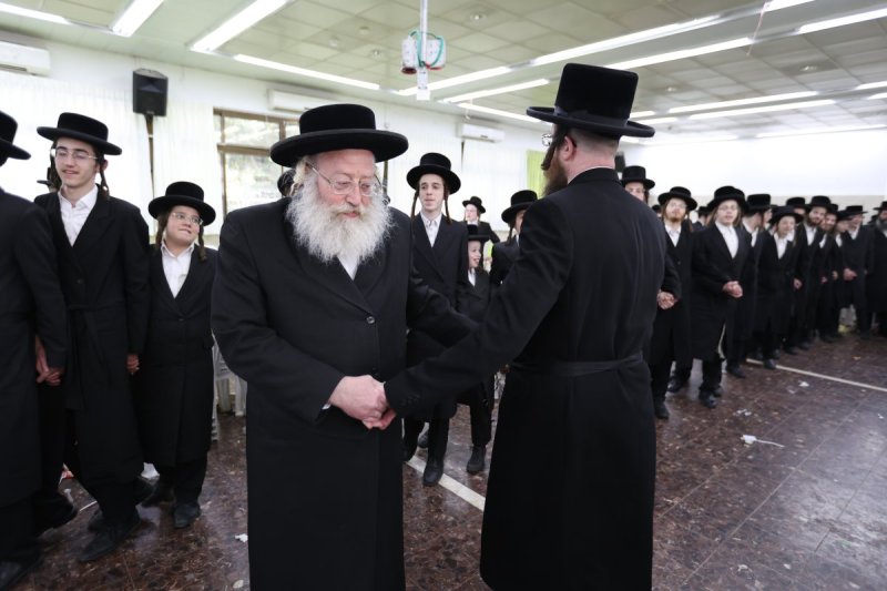 דוד כהן