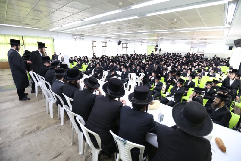 דוד כהן