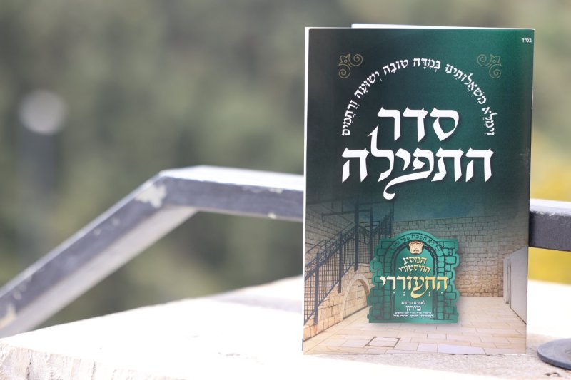 דוד כהן