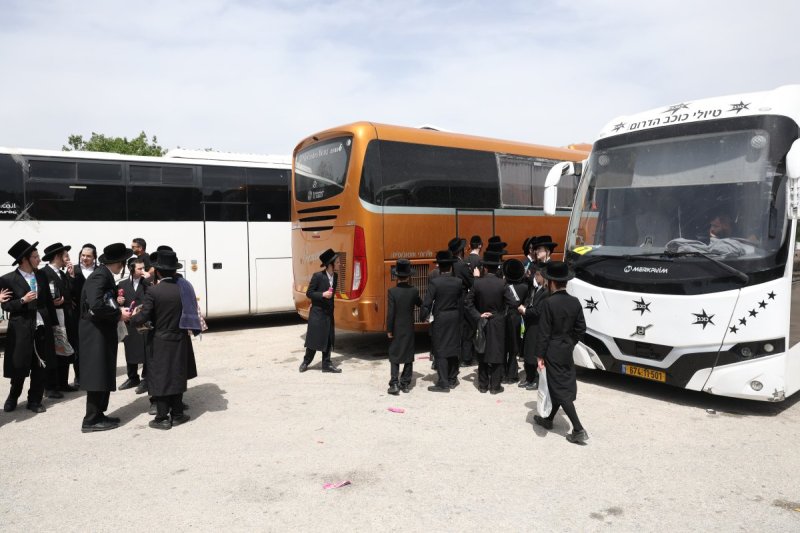דוד כהן