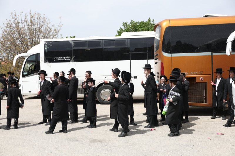 דוד כהן