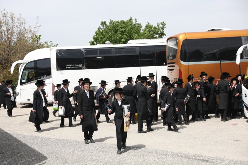 דוד כהן