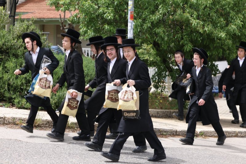 דוד כהן
