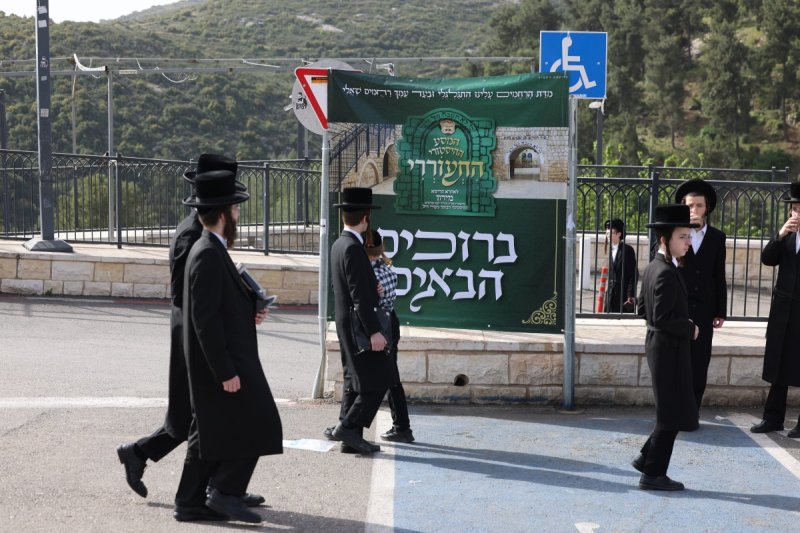דוד כהן
