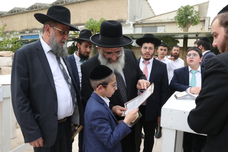 יעקב כהן