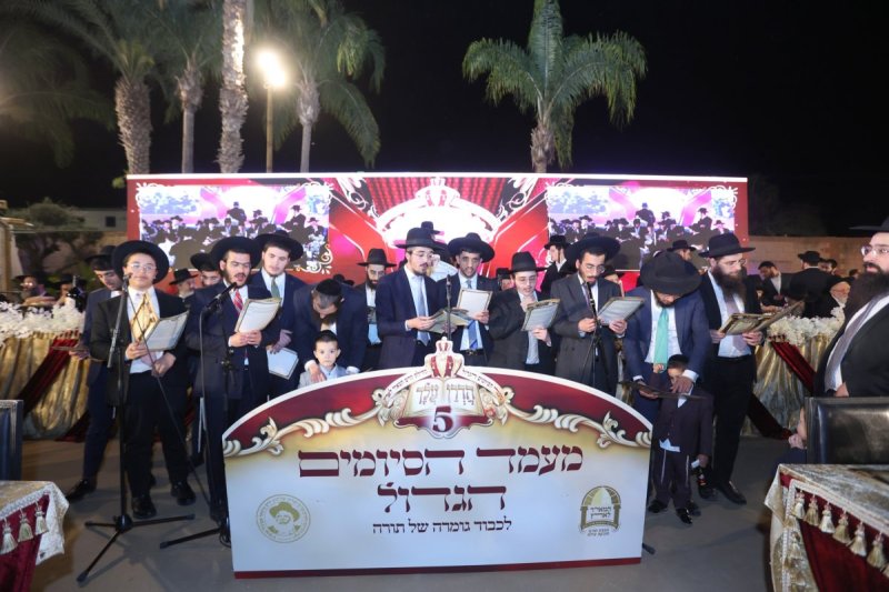 יעקב כהן