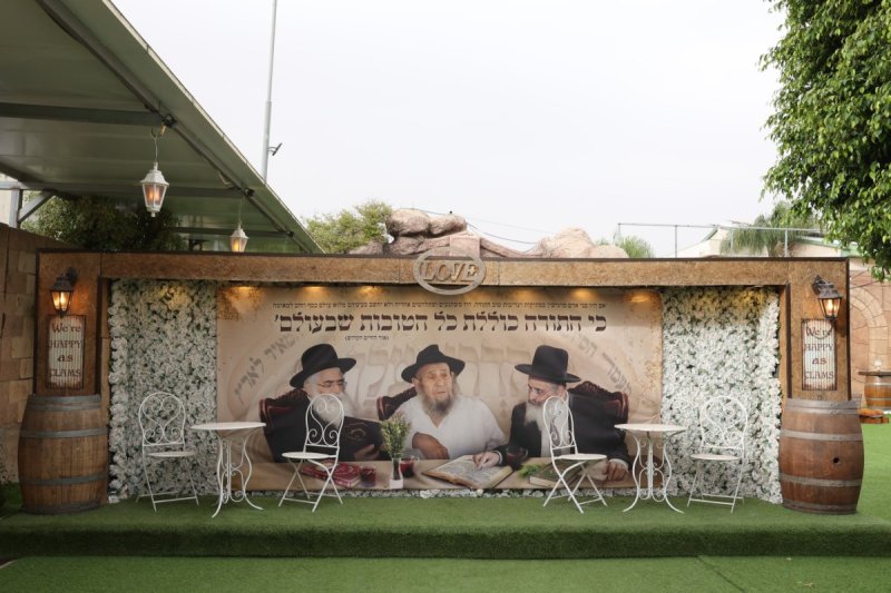 יעקב כהן