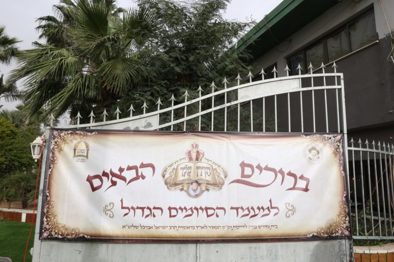 יעקב כהן