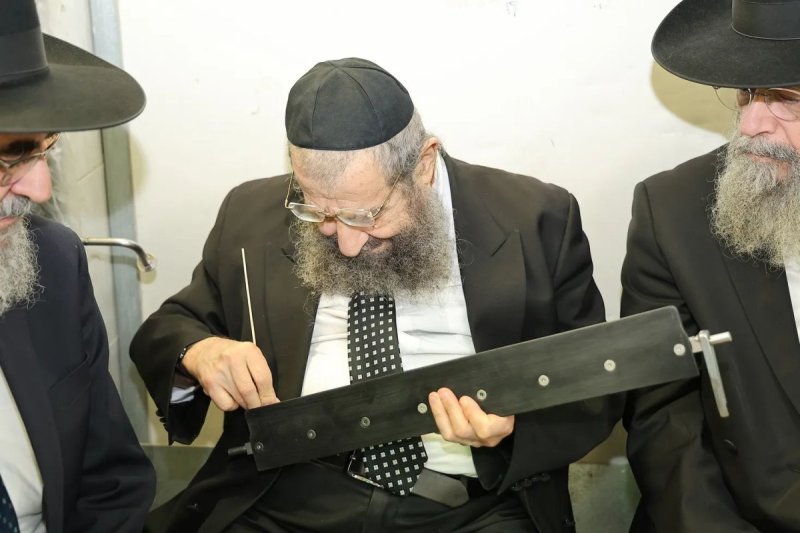 נועם אליהו