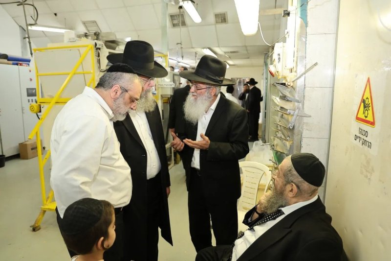 נועם אליהו