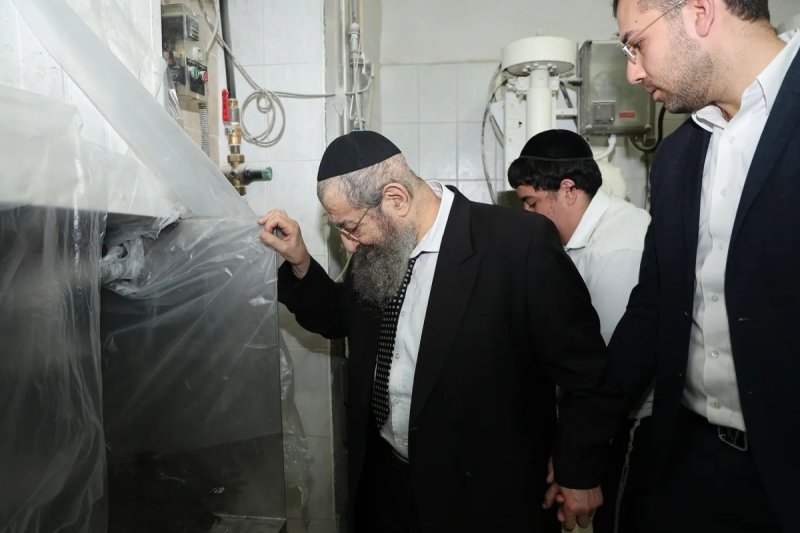 נועם אליהו