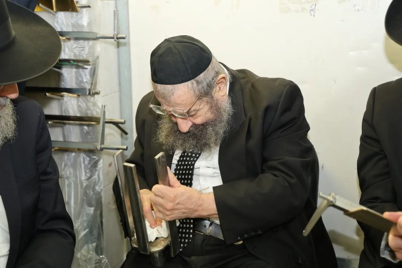 נועם אליהו