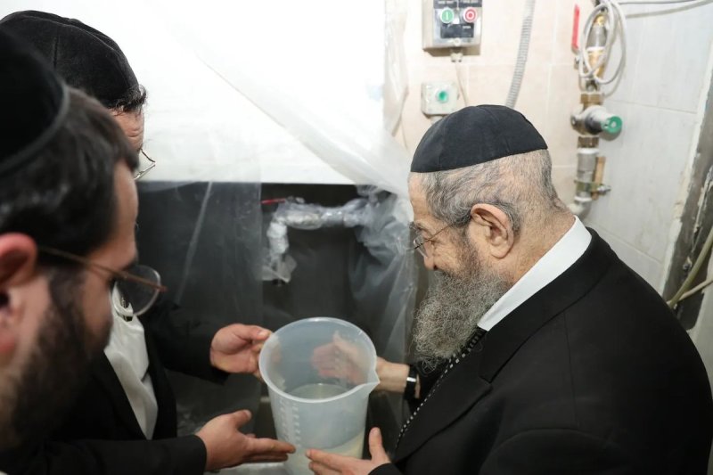 נועם אליהו