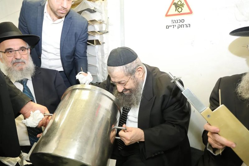 נועם אליהו