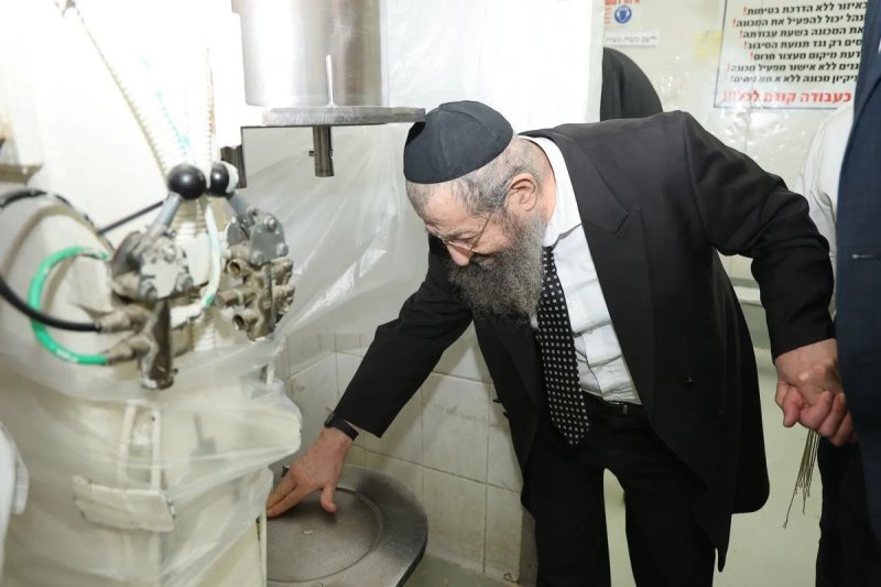נועם אליהו
