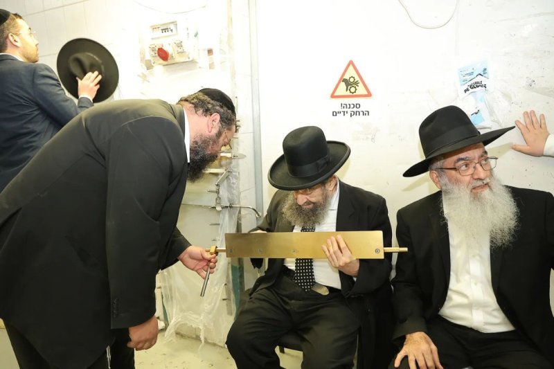 נועם אליהו