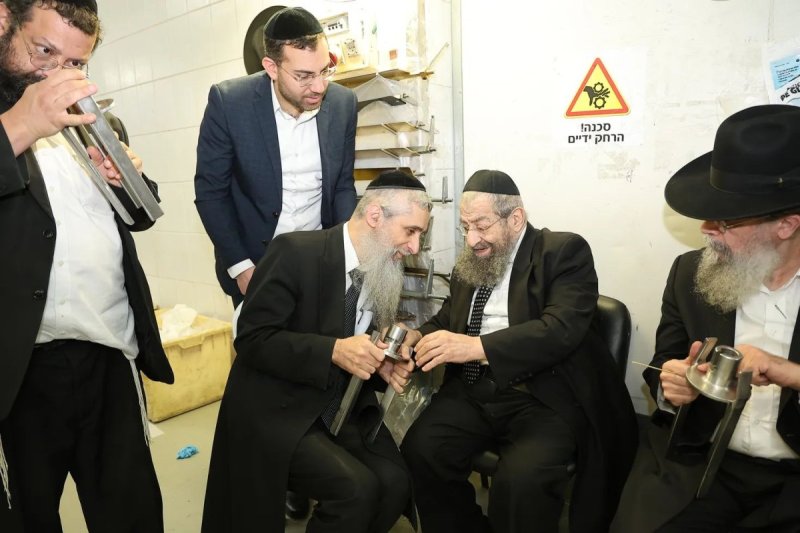 נועם אליהו
