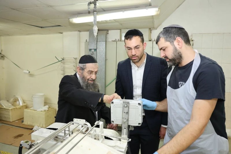נועם אליהו