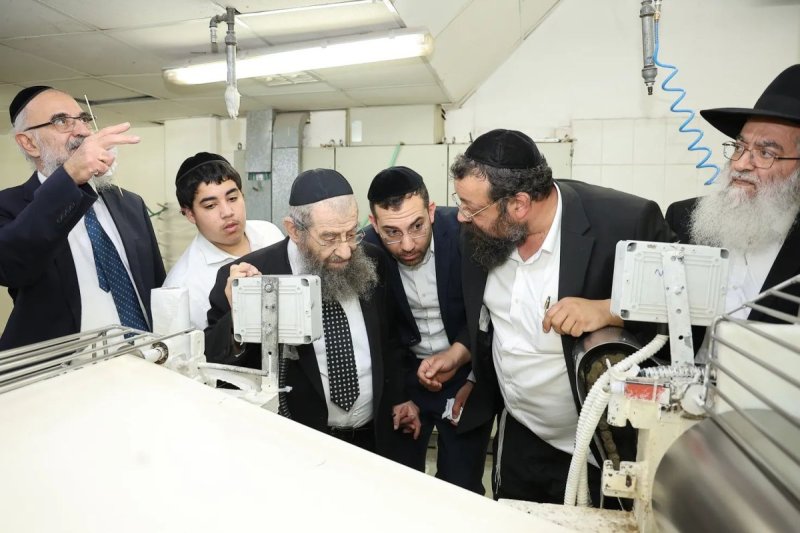נועם אליהו