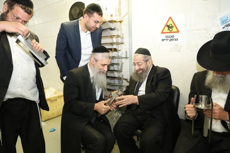 נועם אליהו