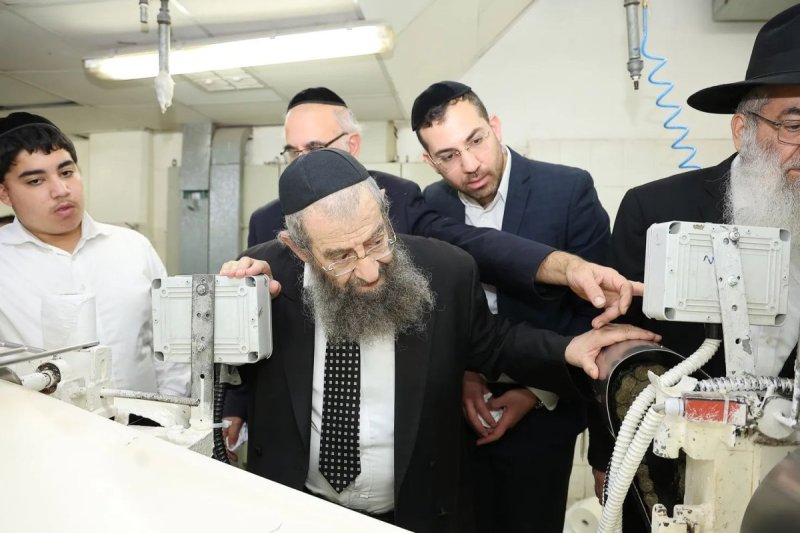נועם אליהו