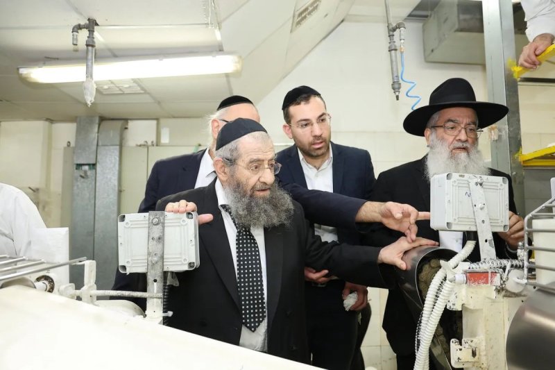 נועם אליהו