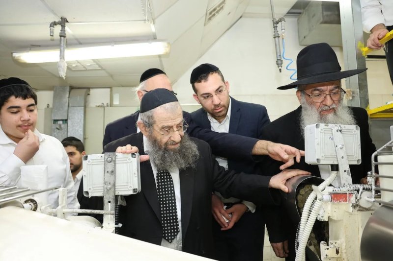 נועם אליהו