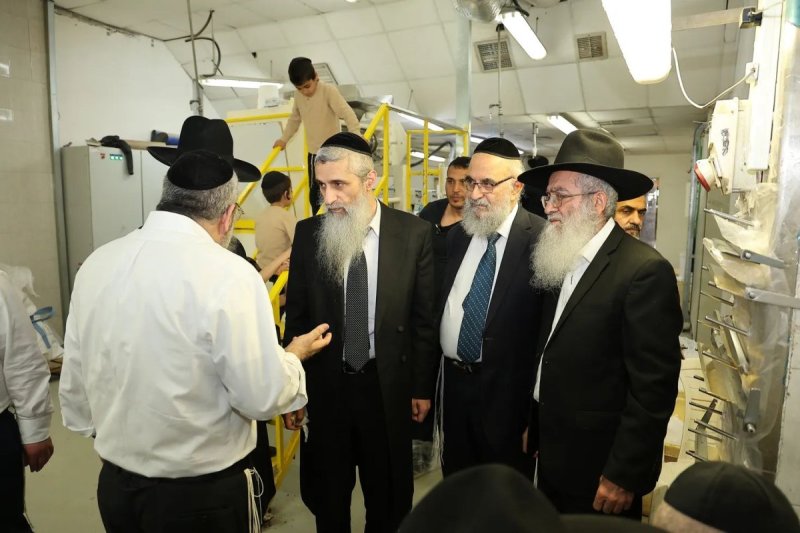 נועם אליהו