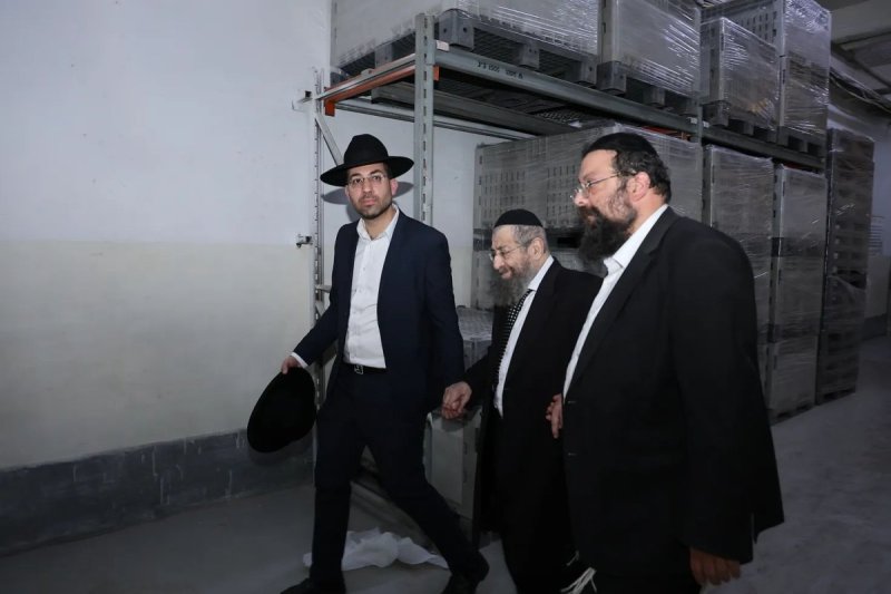 נועם אליהו