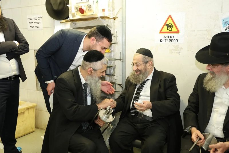 נועם אליהו