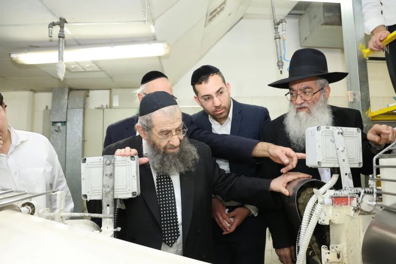 נועם אליהו