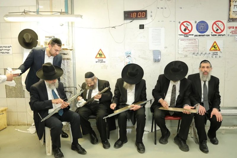 נועם אליהו
