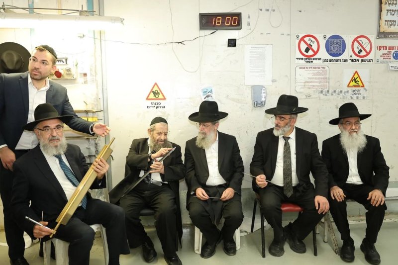 נועם אליהו