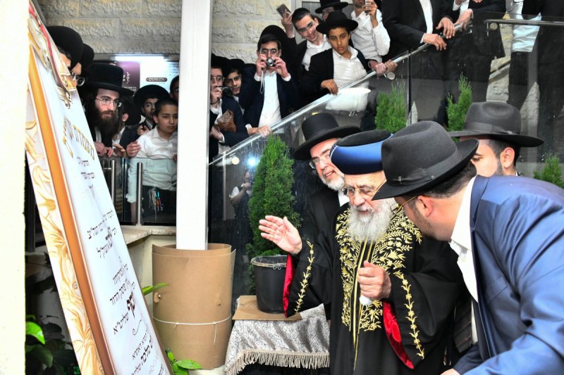 שוקי לרר