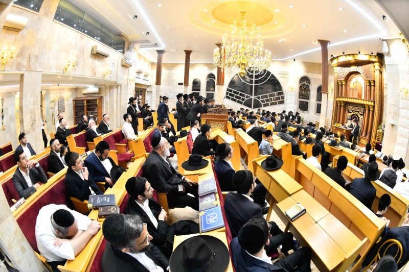 שוקי לרר
