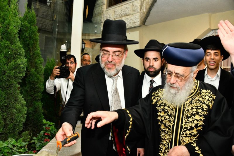 שוקי לרר