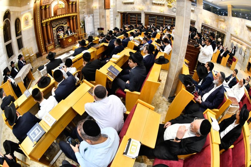 שוקי לרר