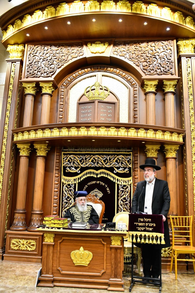 שוקי לרר