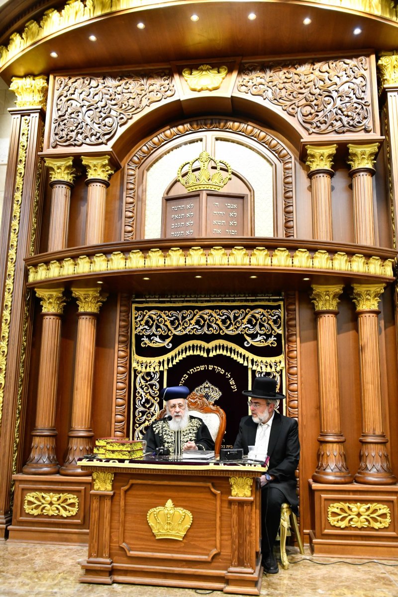 שוקי לרר