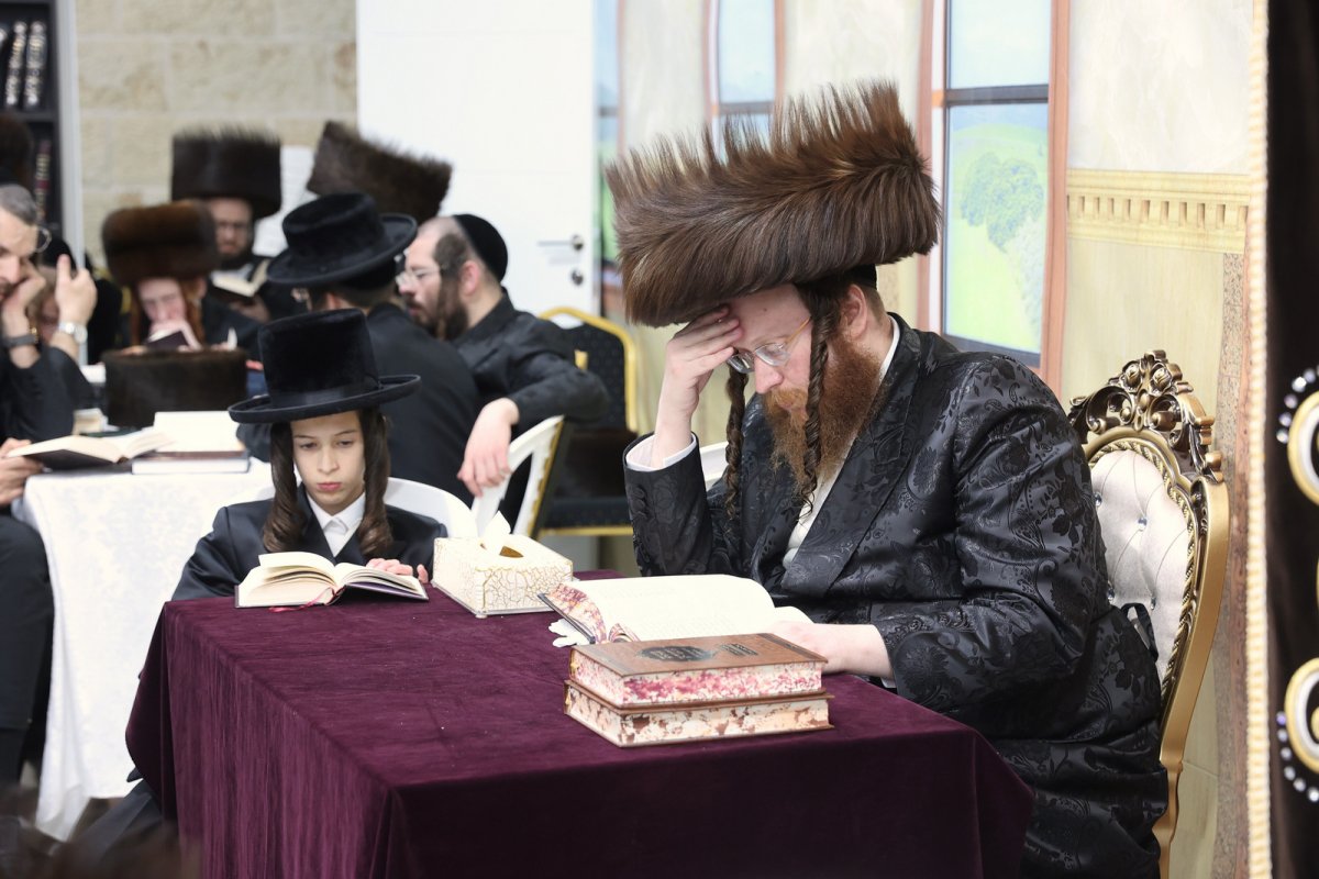 יעקב כהן
