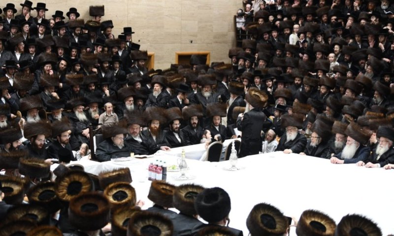 שאלנו את בינה פלוס: לאיזה טיש כדאי ללכת השבת?