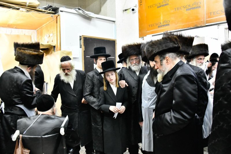 שוקי לרר