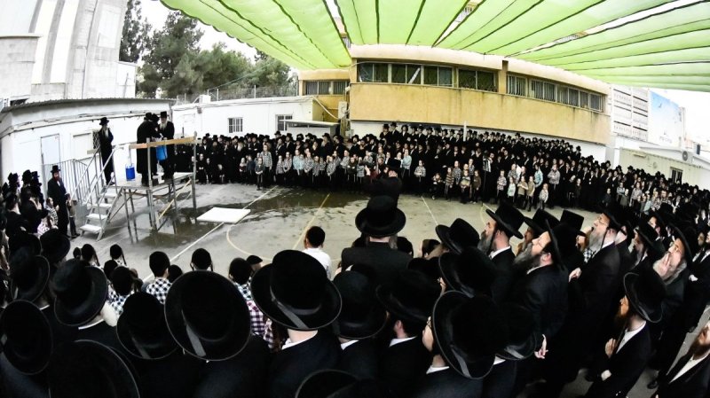 שוקי לרר
