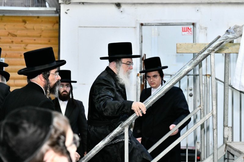 שוקי לרר